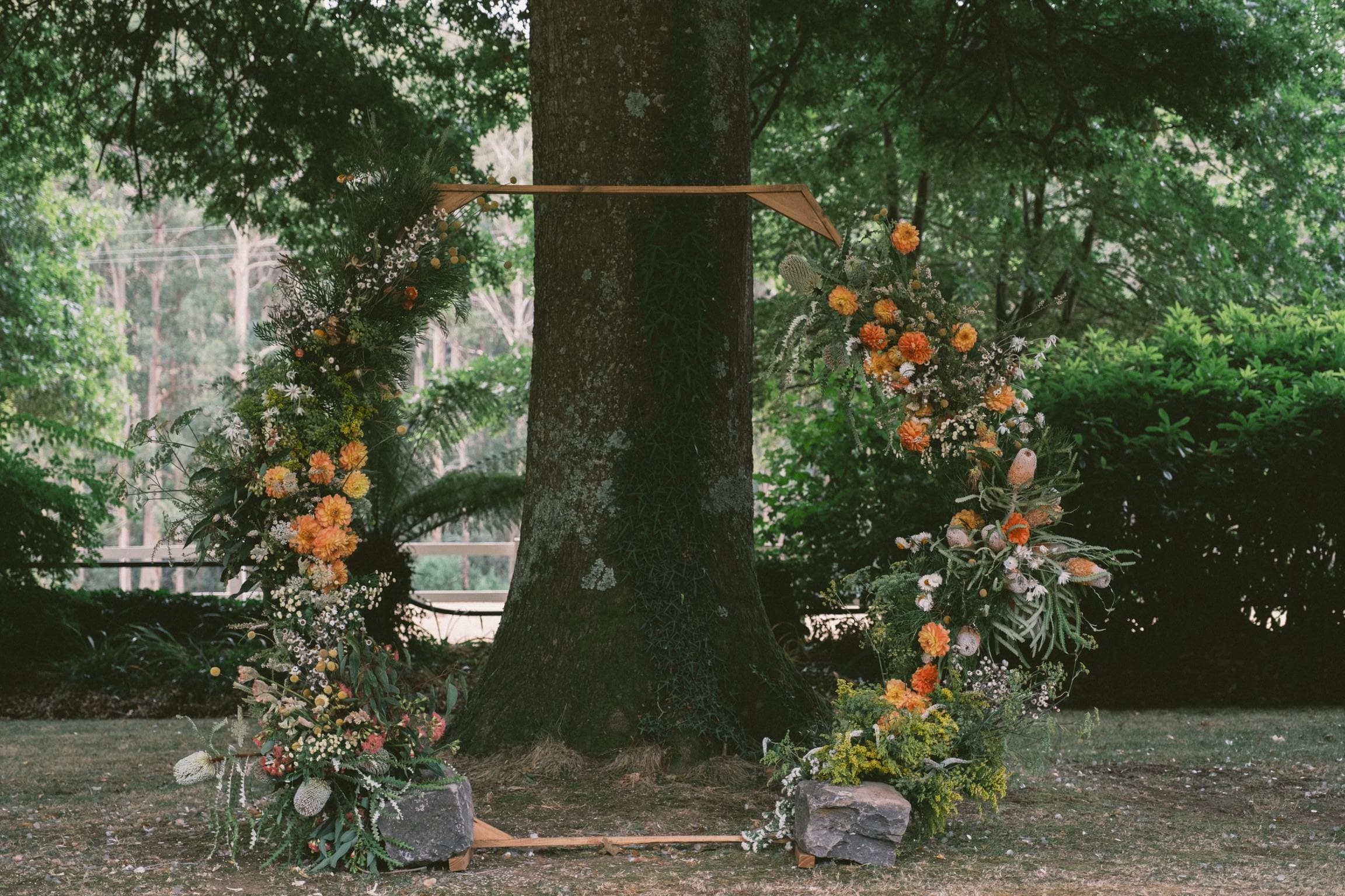 Monrae flora work 5