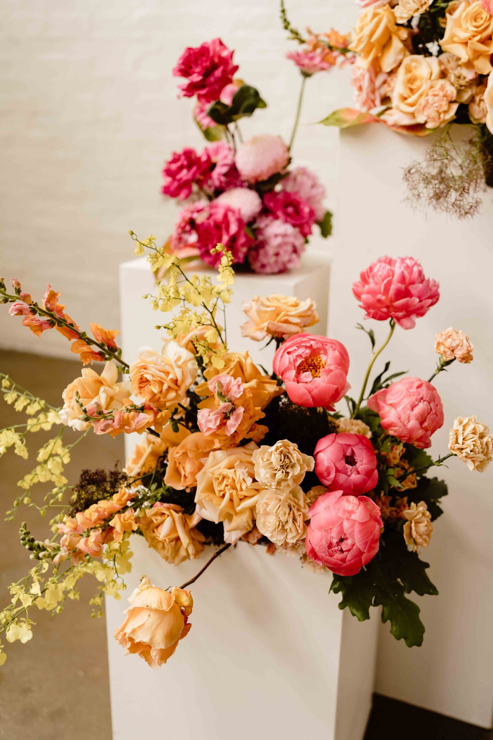 Anatomy of Flowers work 4