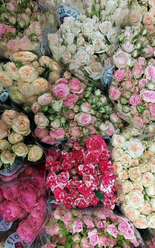 Outside Wholesale Flowers, florist in Launceston, TAS
